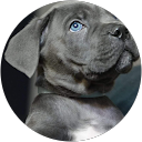 Nancy Roberts Avatar