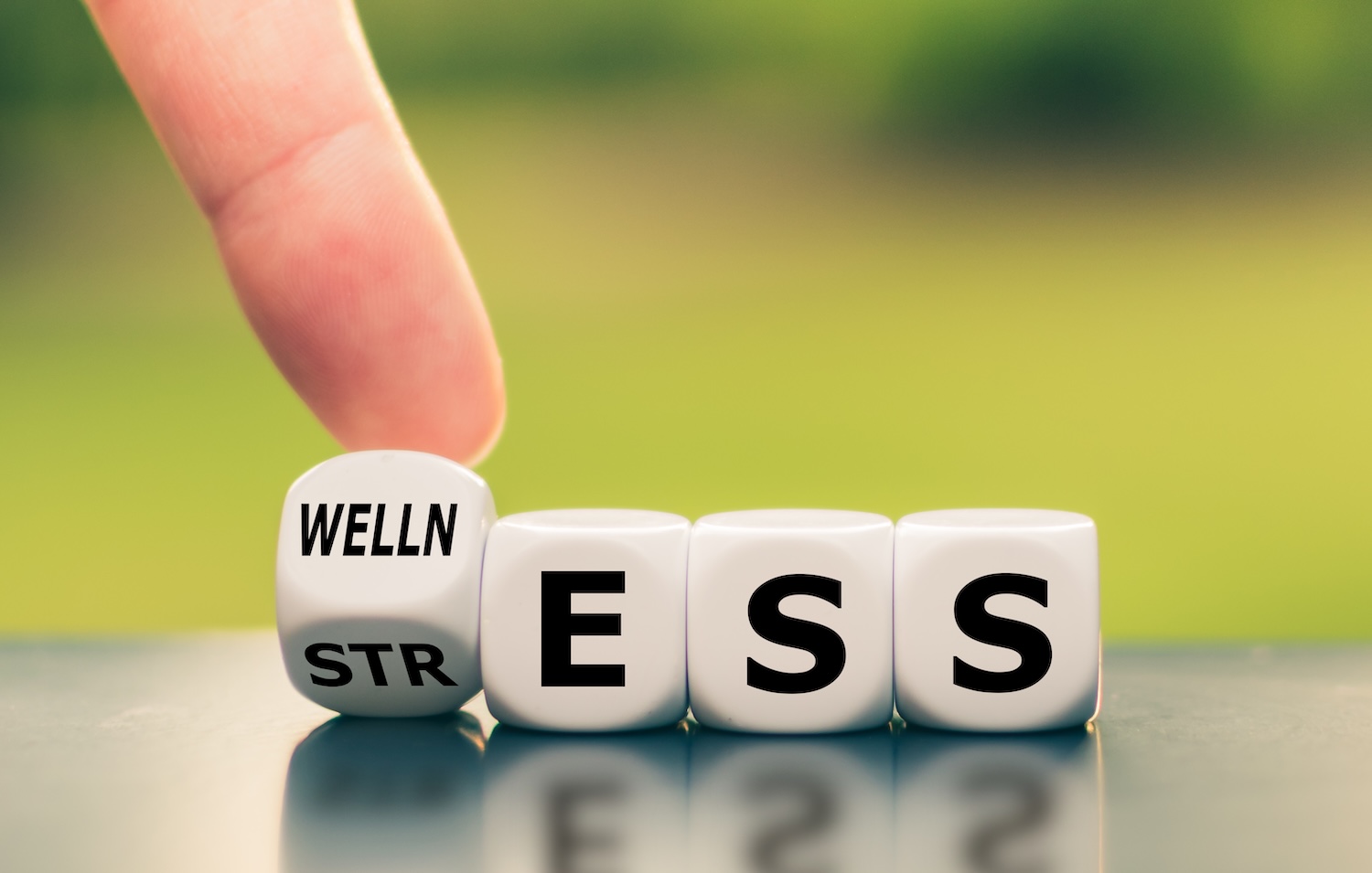 image of dice spelling wellness and stress for stress and oral health